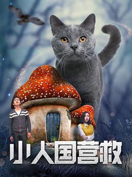 也有个别黑马之作杀出重围。