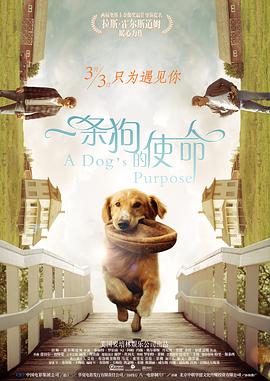 两人在《飞鹰埃迪》中有不少对手戏。