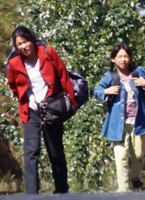 德尼罗想演纽约州长？
